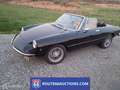 Alfa Romeo Spider 1600 | 1975 | Route 66 Auctions Noir - thumbnail 1