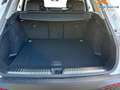 Audi Q5 quattro AHK+NAVI+LED+SHZ+PDC TDI Quattro 150 kW... Wit - thumbnail 10