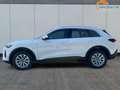 Audi Q5 quattro AHK+NAVI+LED+SHZ+PDC TDI Quattro 150 kW... Wit - thumbnail 3