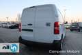 Fiat Scudo Scudo Van L2H1 1.5 Bluehdi 120cv Mt6 Bianco - thumbnail 4