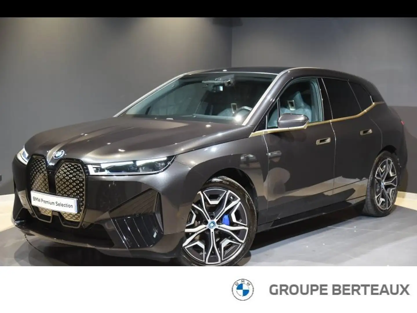 BMW iX xDrive40 326ch Gris - 1