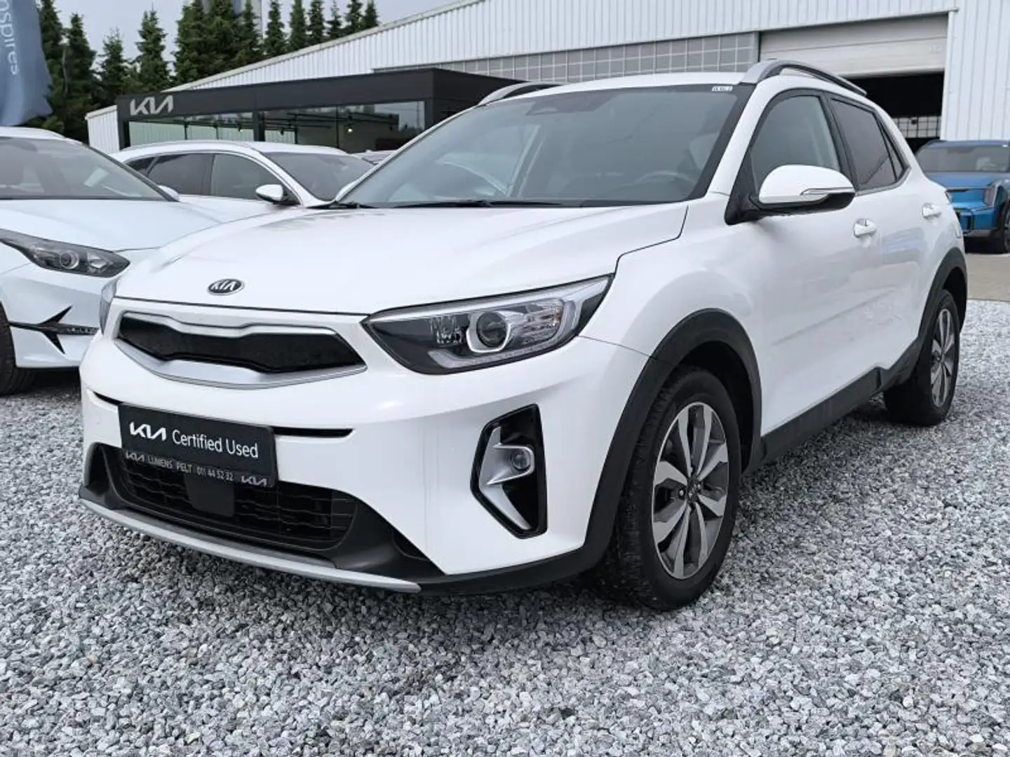 Kia Stonic More 1.0T ISG Wit - 1