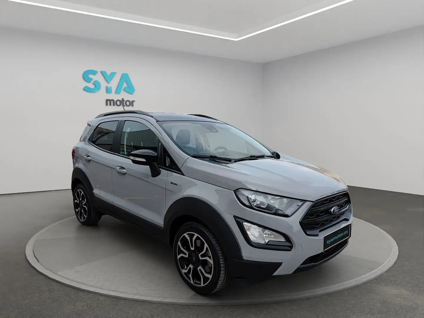 Ford EcoSport 1.0 EcoBoost Active 125 Plateado - 1