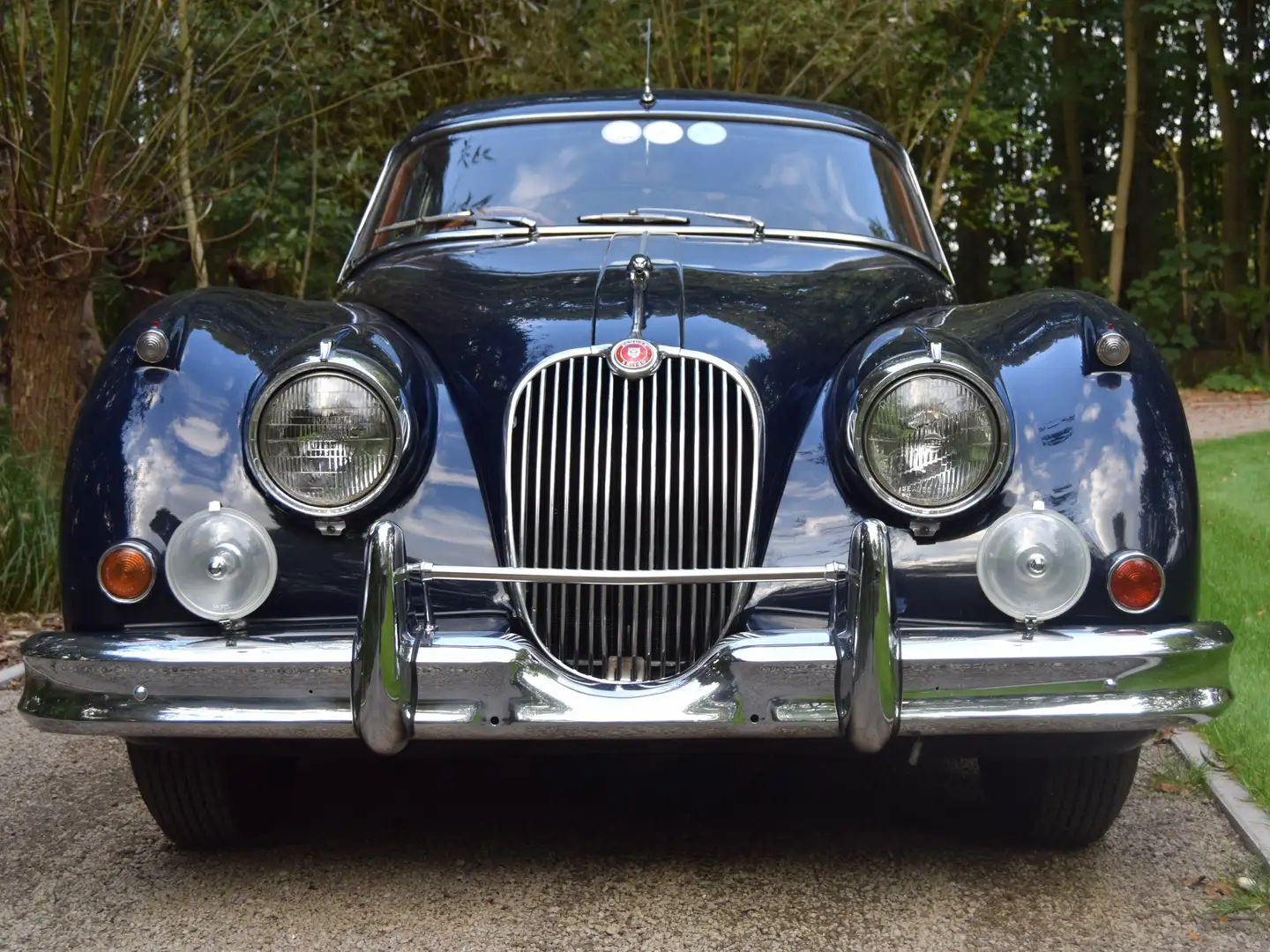 Jaguar XK150 Синій - 2