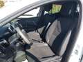 Renault Clio TCe 12V 90 CV GPL 5 porte Business Bianco - thumbnail 13