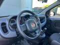 Fiat Panda 1.0 FireFly S&S Hybrid - PER NEOPATENTATO - Rouge - thumbnail 8