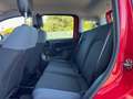 Fiat Panda 1.0 FireFly S&S Hybrid - PER NEOPATENTATO - Rouge - thumbnail 15