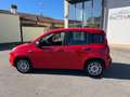 Fiat Panda 1.0 FireFly S&S Hybrid - PER NEOPATENTATO - Rouge - thumbnail 14