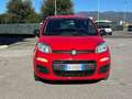 Fiat Panda 1.0 FireFly S&S Hybrid - PER NEOPATENTATO - Rouge - thumbnail 2