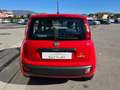Fiat Panda 1.0 FireFly S&S Hybrid - PER NEOPATENTATO - Rouge - thumbnail 11