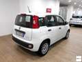 Fiat Panda 1.0 FireFly S&S Hybrid Bianco - thumbnail 3