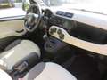 Fiat Panda 1.2 Edizione Cool Gris - thumbnail 7