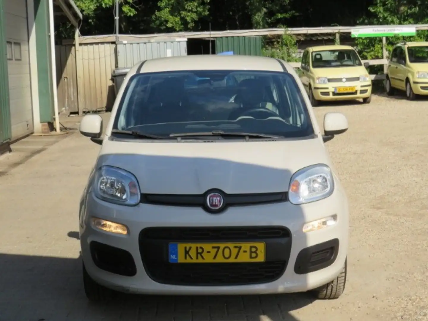 Fiat Panda 1.2 Edizione Cool Gris - 2