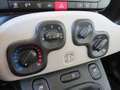 Fiat Panda 1.2 Edizione Cool Gris - thumbnail 13