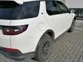 Land Rover Discovery Sport D150 HSE Wit - thumbnail 1