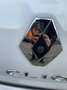 Renault Clio Clio IV 2012 5p 0.9 tce Costume National 90cv Bianco - thumbnail 9