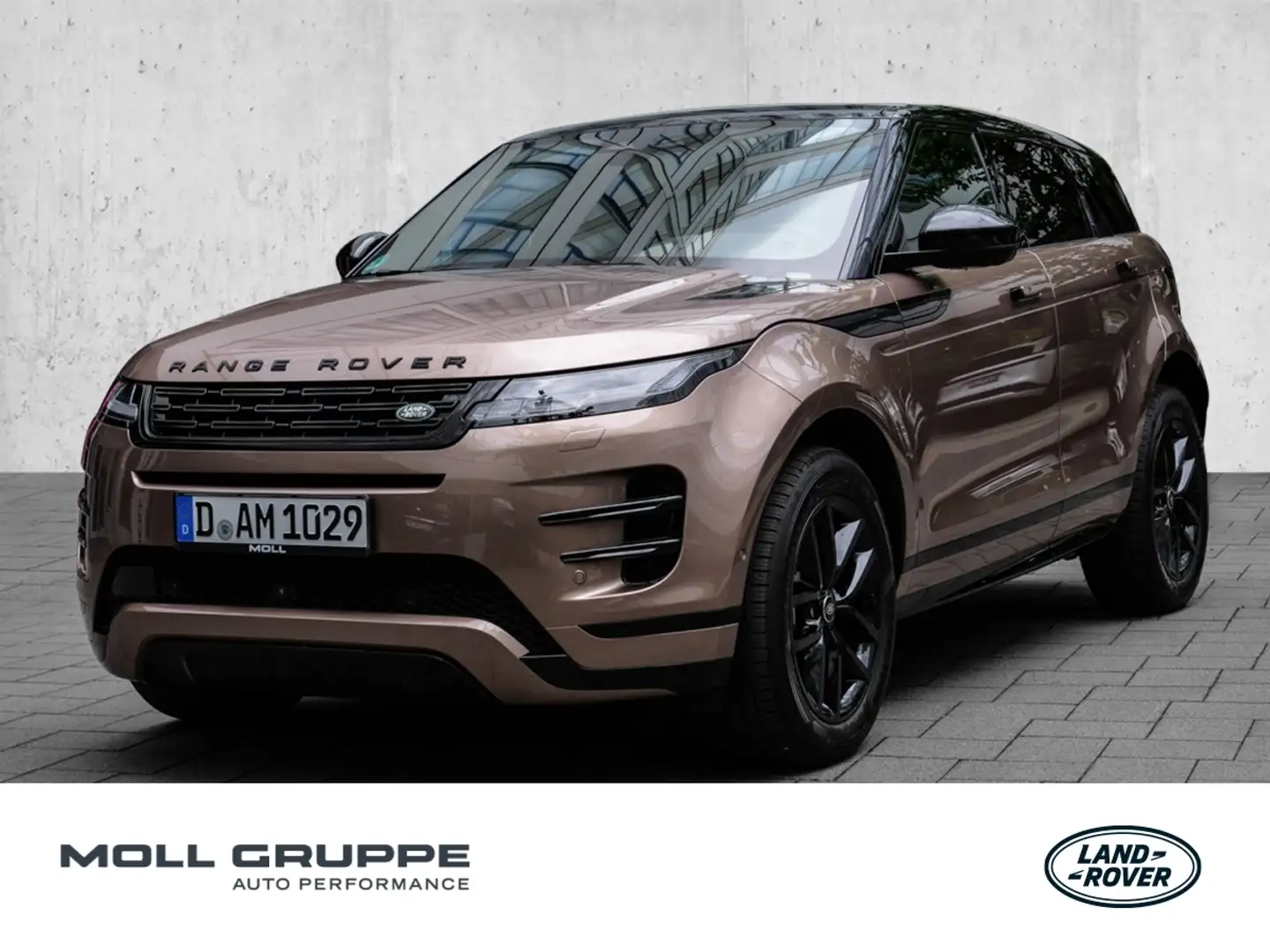 Land Rover Range Rover Evoque Braun - 1