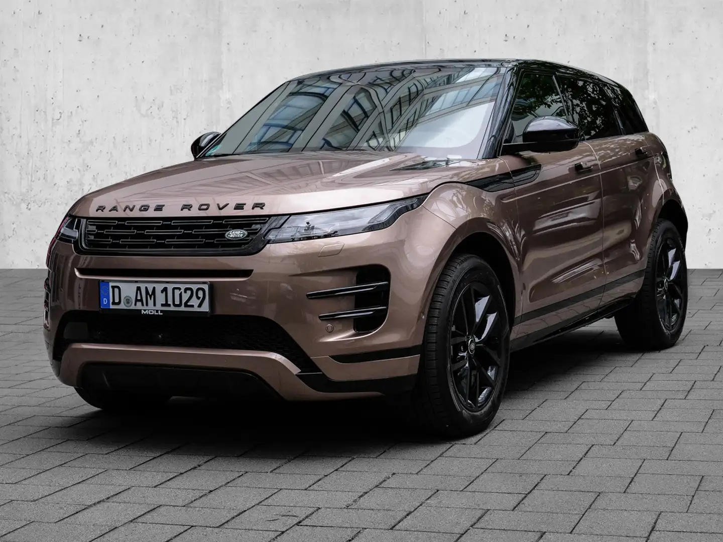 Land Rover Range Rover Evoque Braun - 2