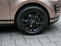 Land Rover Range Rover Evoque Braun - thumbnail 10