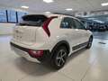 Kia Niro 1.6 MY25 PHEV 2WD BUSINESS Wit - thumbnail 5