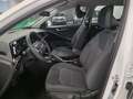 Kia Niro 1.6 MY25 PHEV 2WD BUSINESS Bianco - thumbnail 14