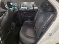 Kia Niro 1.6 MY25 PHEV 2WD BUSINESS Bianco - thumbnail 20