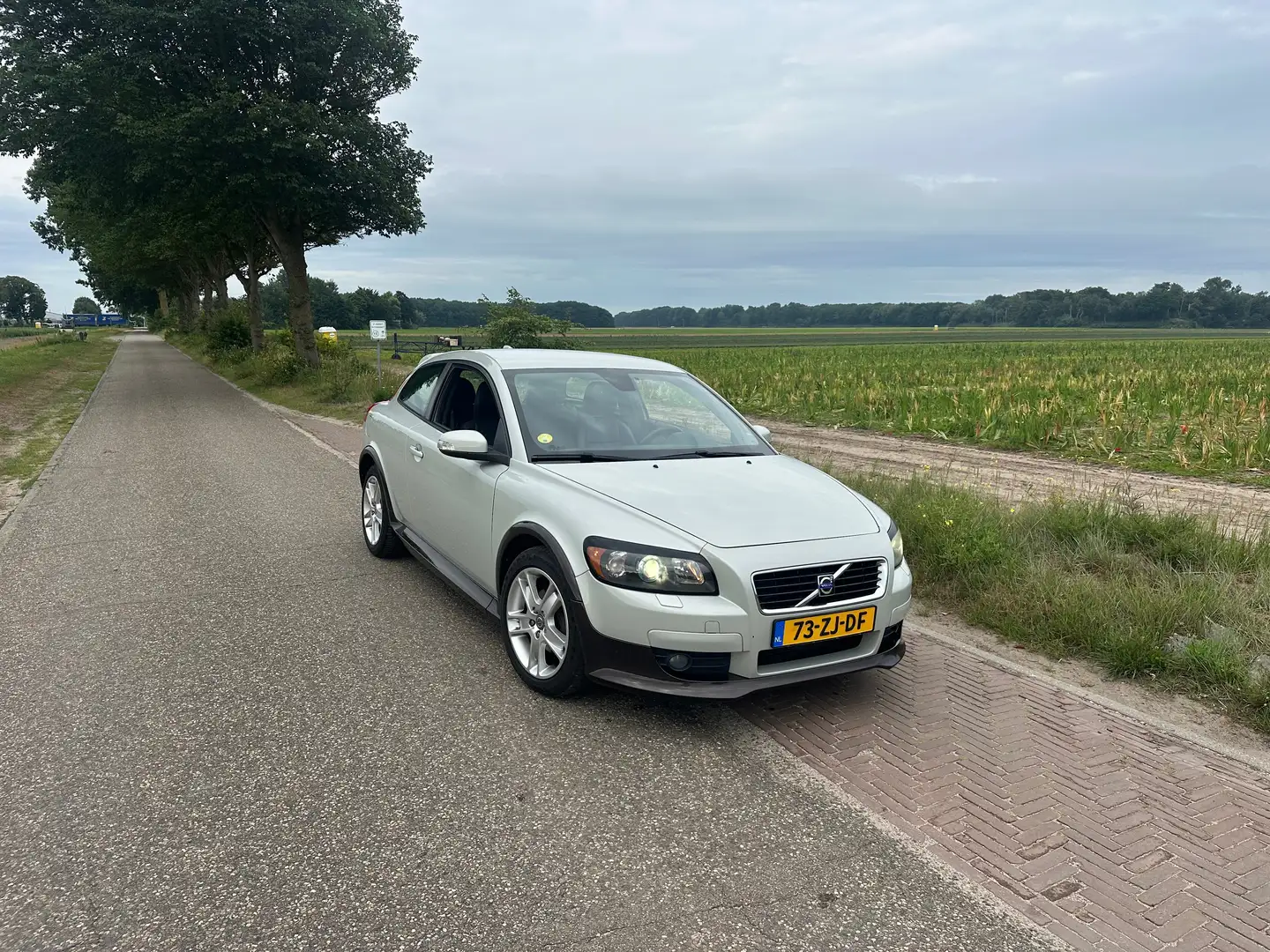 Volvo C30 C30 2.0 Summum Gri - 1