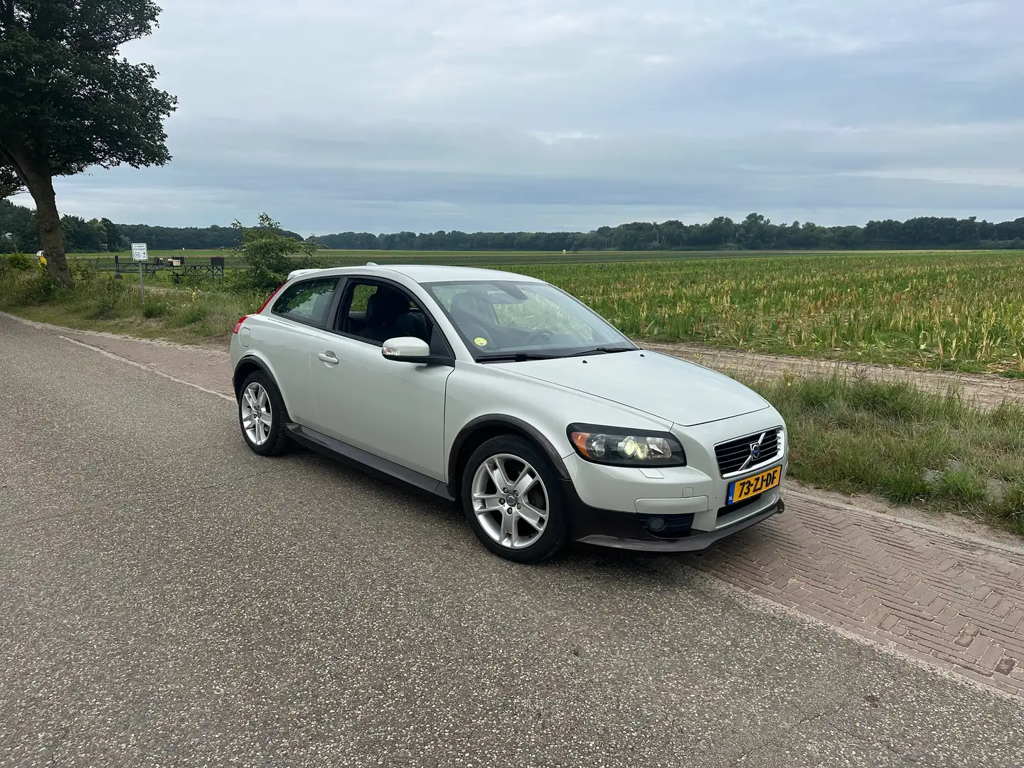 Volvo C30 C30 2.0 Summum Gri - 2