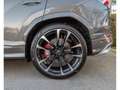 Lamborghini Urus 4.0 V8 Auto./PANO/23/360°/B&O/HEAD-UP/VOLL Gris - thumbnail 30