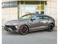 Lamborghini Urus 4.0 V8 Auto./PANO/23/360°/B&O/HEAD-UP/VOLL Gris - thumbnail 1