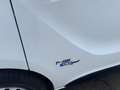 Fiat Talento 12q  2.0 Ecojet 145CV S&S 09/2020 Euro 6D- Temp Bianco - thumbnail 21