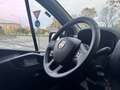Fiat Talento 12q  2.0 Ecojet 145CV S&S 09/2020 Euro 6D- Temp Bianco - thumbnail 19