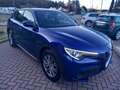Alfa Romeo Stelvio Stelvio 2.2 TDI Super Business AT8 RWD 160cv Blau - thumbnail 3