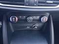 Alfa Romeo Stelvio Stelvio 2.2 TDI Super Business AT8 RWD 160cv Blau - thumbnail 15