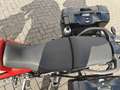 Triumph Tiger 900 GT Pro Rouge - thumbnail 9