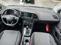 SEAT Ibiza Ibiza 1.0 TSI Connect Start Gris - thumbnail 8