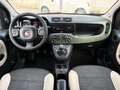 Fiat Panda Panda III 2012 4x4 1.3 mjt 16v 4x4 75cv Verde - thumbnail 8