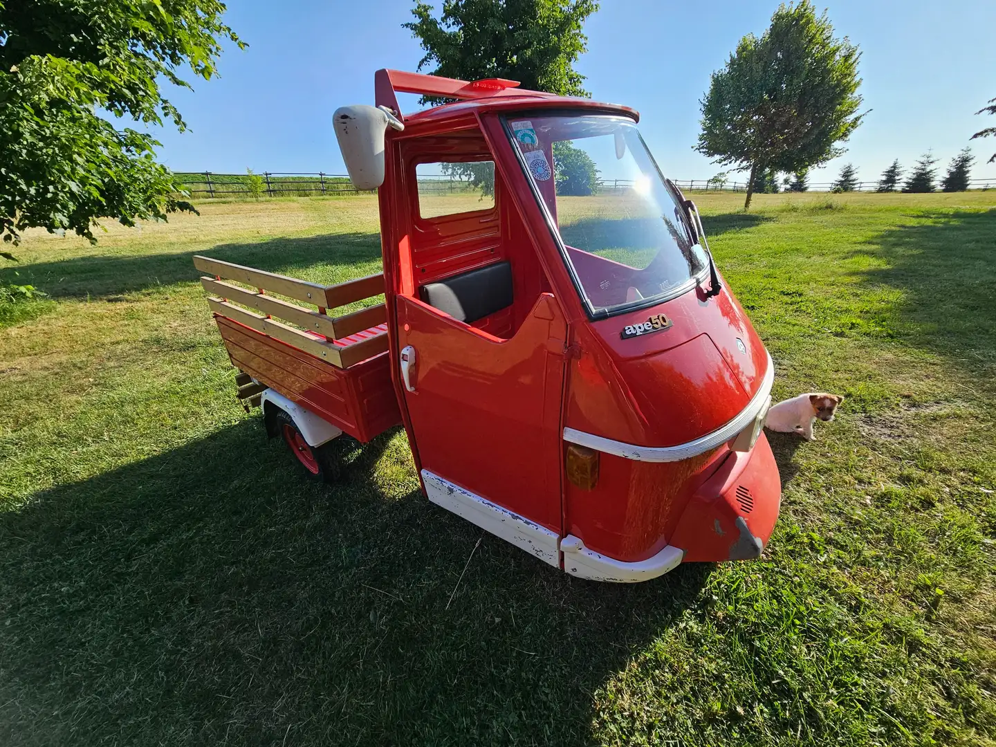 Piaggio Ape Rot - 2