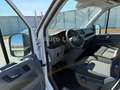 Volkswagen Crafter 35 TDI*MAXI-HOCH-LANG*KLIMA*KAMERA*TEMPO Weiß - thumbnail 12