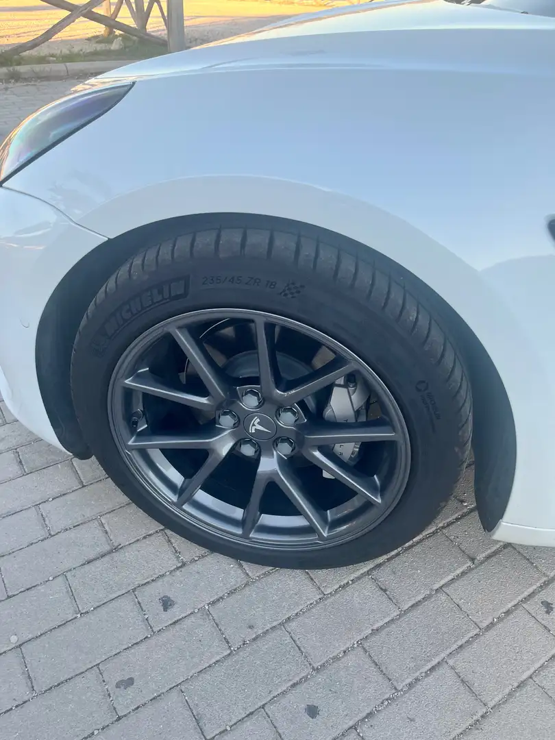 Tesla Model 3 Model 3 Standard rwd Plus Bianco - 1