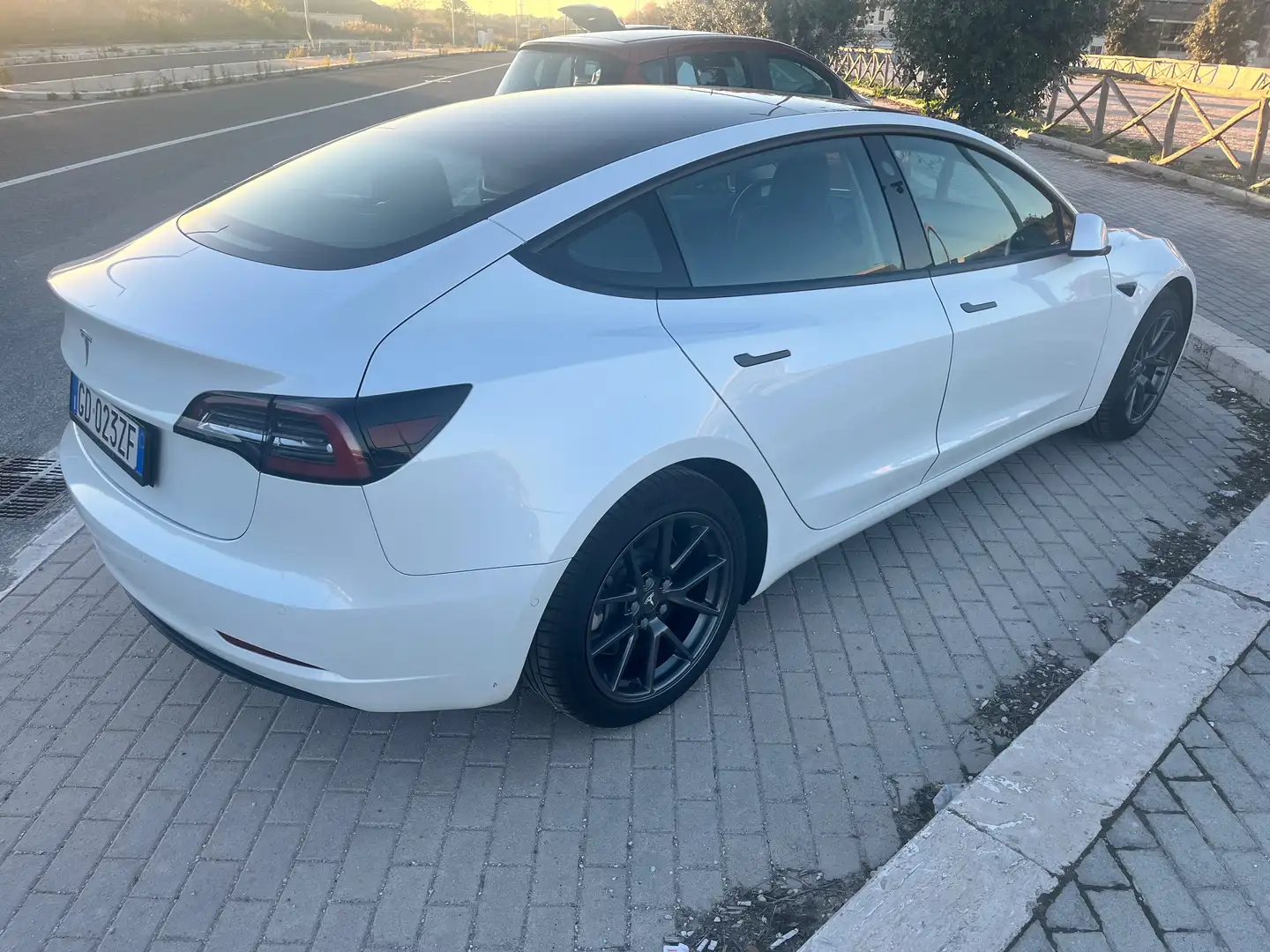Tesla Model 3 Model 3 Standard rwd Plus Bianco - 2
