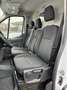 Ford Transit Kasten E 350 L3 Trend Lager!!! Weiß - thumbnail 23