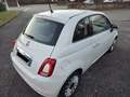 Fiat 500 1.2 Lounge easypower Gpl 69cv - thumbnail 4