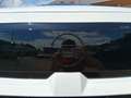 Opel Frontera GS E Limitierte Kurzzulassung o. KM Weiß - thumbnail 12