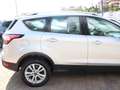 Ford Kuga Kuga II 2017 1.5 tdci Titanium s Argento - thumbnail 5