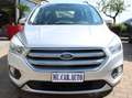 Ford Kuga Kuga II 2017 1.5 tdci Titanium s Argento - thumbnail 1