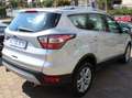 Ford Kuga Kuga II 2017 1.5 tdci Titanium s Argento - thumbnail 3