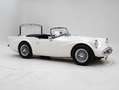 Daimler SP250 '64 CH4393 Blanc - thumbnail 3