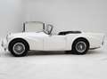 Daimler SP250 '64 CH4393 Blanc - thumbnail 8