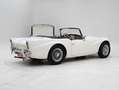 Daimler SP250 '64 CH4393 Blanc - thumbnail 2